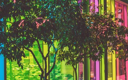Light filtered through neon-colored, rainbow glass shines on trees inside a building, replicating the rainbow effect on them.
