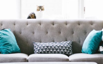 teal-pillows-gray-couch