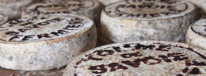 round-blocks-of-cheese