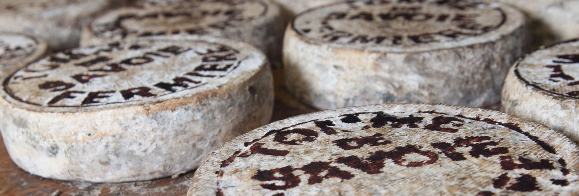 round-blocks-of-cheese