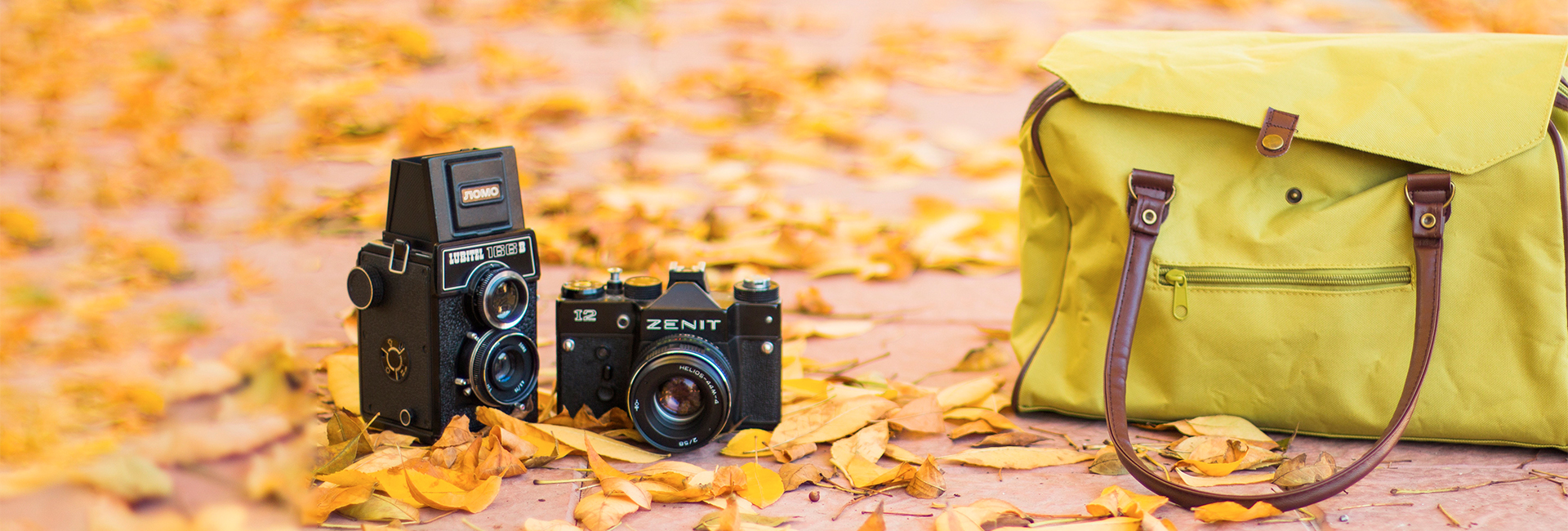 cameras-and-yellow-tote-bag-fall-leaves