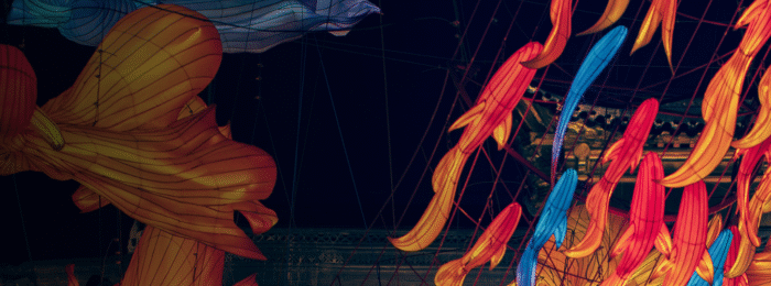 Colorful paper fish lanterns