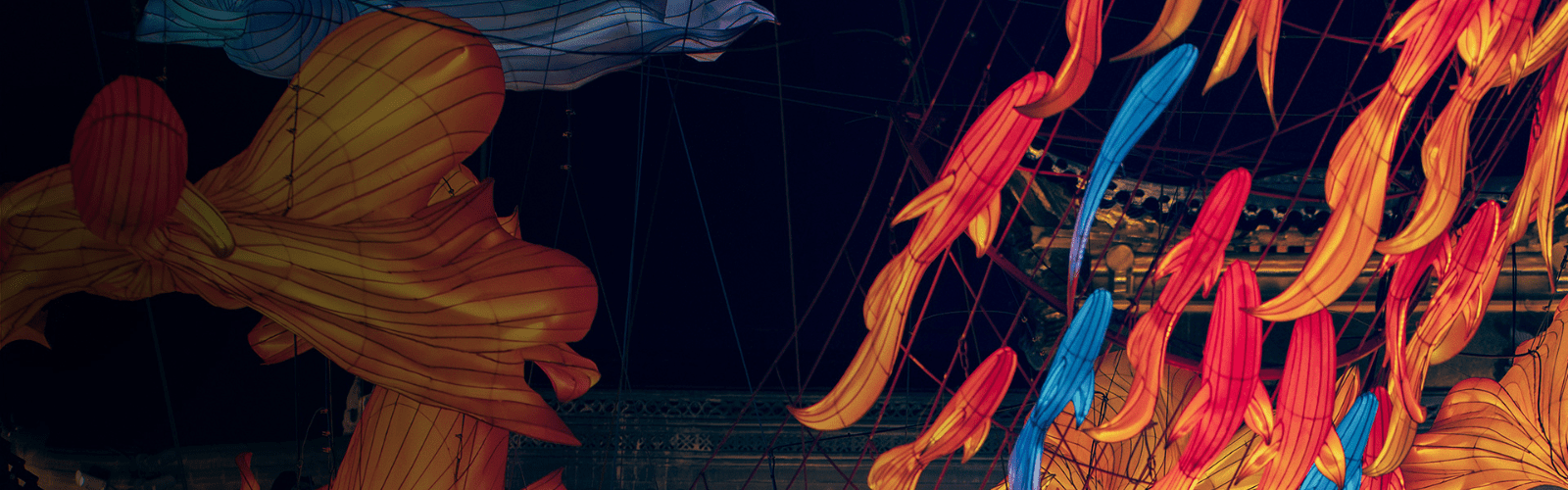 Colorful paper fish lanterns