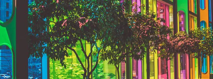 Light filtered through neon-colored, rainbow glass shines on trees inside a building, replicating the rainbow effect on them.