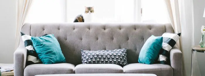 teal-pillows-gray-couch