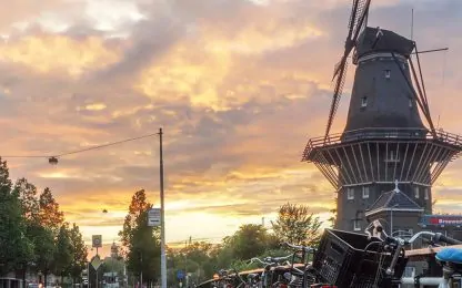 Amsterdam-street