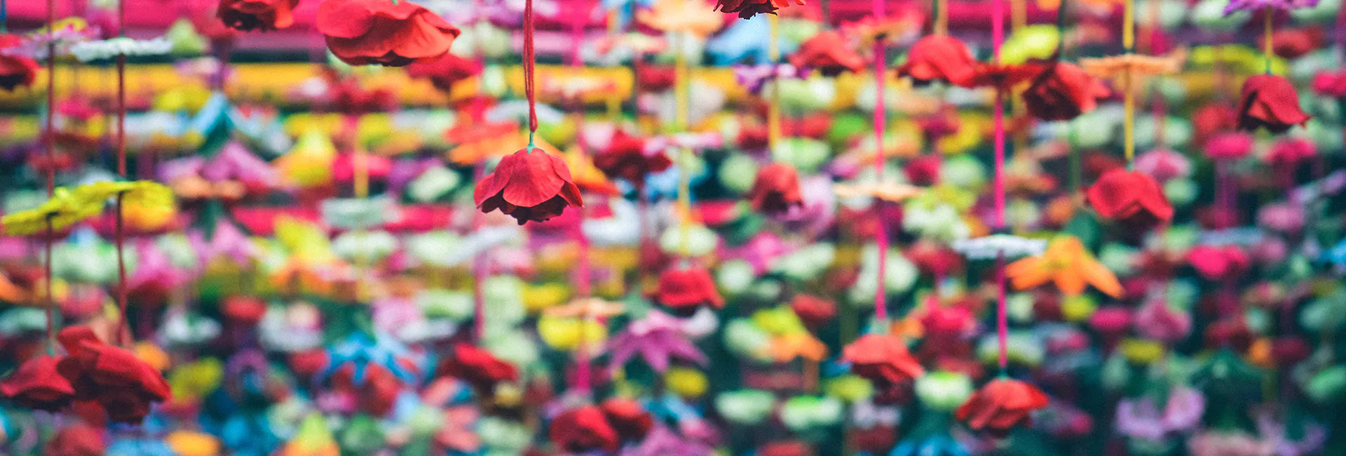 flowers-hanging-upside-down-india-market