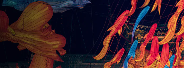 Colorful paper fish lanterns